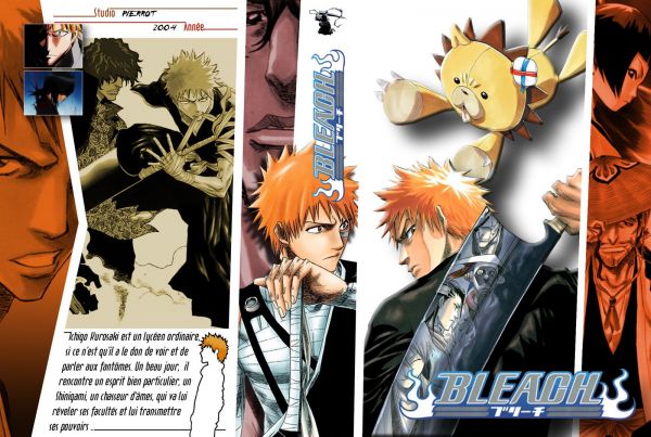 BOX COMPLETO - Bleach